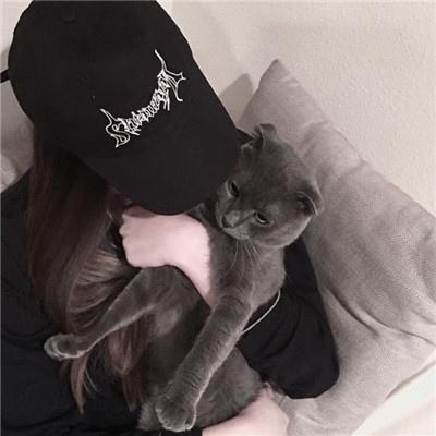 翻滚骑士手游
